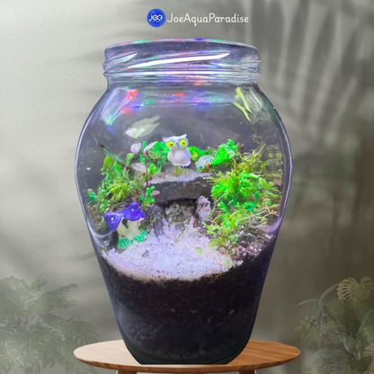 Beginner Closed Terrarium(Normal Glass)