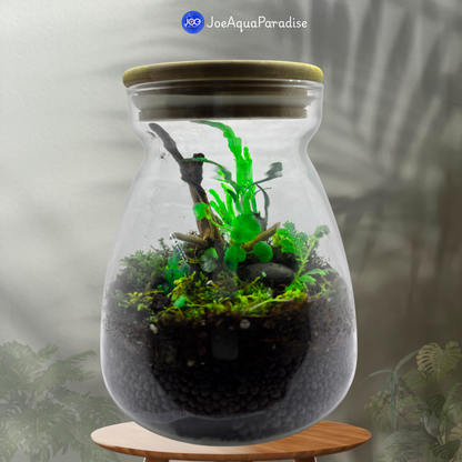 Biolab Terrarium (Closed Live Ecosystem - UltraClear)