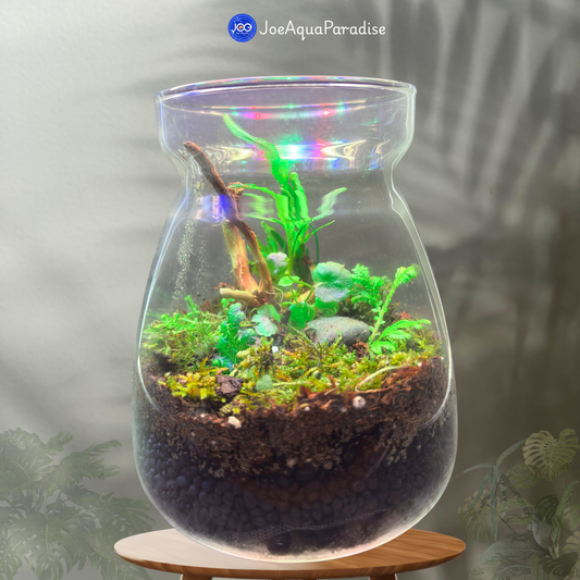 Biolab Terrarium (Closed Live Ecosystem - UltraClear)
