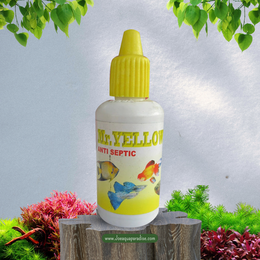 Mr. Yellow – Natural Antiseptic