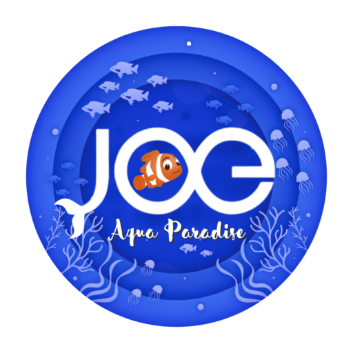 Joe Aqua Paradise